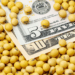 Global soybean stocks rise despite lower production outlook