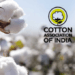 CAI raises cotton output estimate amid higher imports and consumption