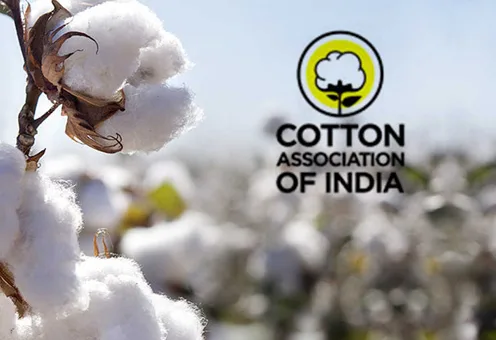 CAI raises cotton output estimate amid higher imports and consumption