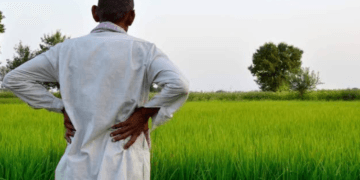 Why ethanol is ultimately a farmers’ story