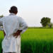 Why ethanol is ultimately a farmers’ story