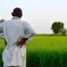 Why ethanol is ultimately a farmers’ story