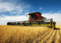 Kharif sowing declines as pulse and cereal acreage shrinks