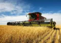 Kharif sowing declines as pulse and cereal acreage shrinks