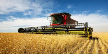 Kharif sowing declines as pulse and cereal acreage shrinks