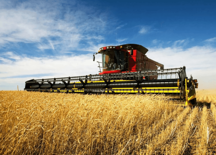 Kharif sowing declines as pulse and cereal acreage shrinks