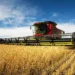 Kharif sowing declines as pulse and cereal acreage shrinks