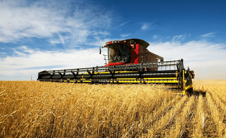 Kharif sowing declines as pulse and cereal acreage shrinks