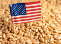 U.S. wheat supplies tighten as global stocks rise
