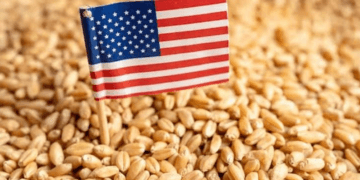 U.S. wheat supplies tighten as global stocks rise