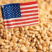 U.S. wheat supplies tighten as global stocks rise