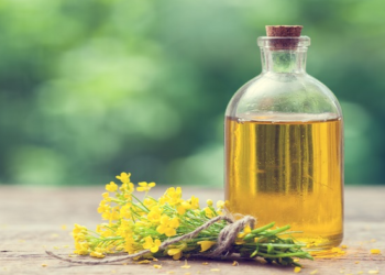 Indian oilmeal exports fall 13% as global price competition intensifies