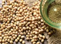 China oilseed demand supports vegetable oil price outlook