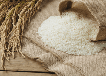 India rice output set for sharpest drop in nearly two decades