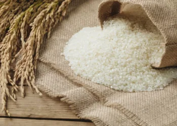 India rice output set for sharpest drop in nearly two decades