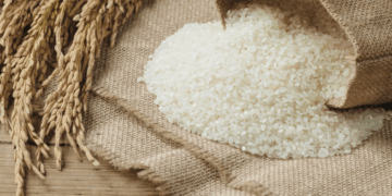 India rice output set for sharpest drop in nearly two decades