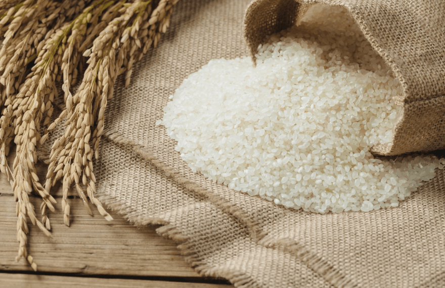 India rice output set for sharpest drop in nearly two decades