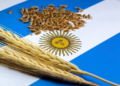 Argentina raises wheat and corn forecasts amid strong export demand