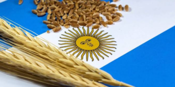 Argentina raises wheat and corn forecasts amid strong export demand