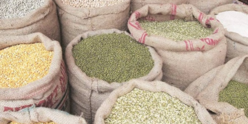 India’s pulse imports surge 67% amid El Niño supply concerns